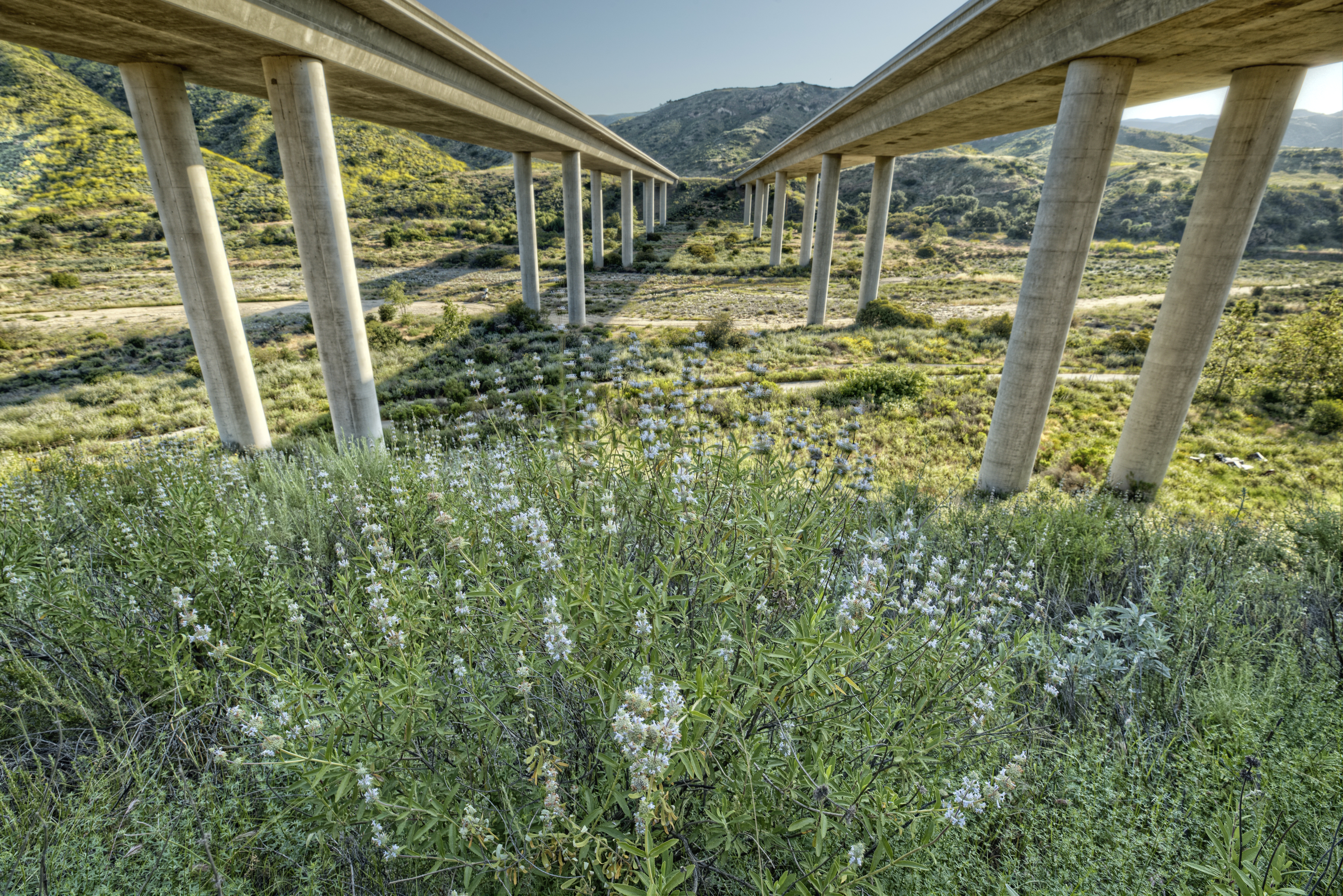 Wildlife Undercrossing on 241 Toll Road