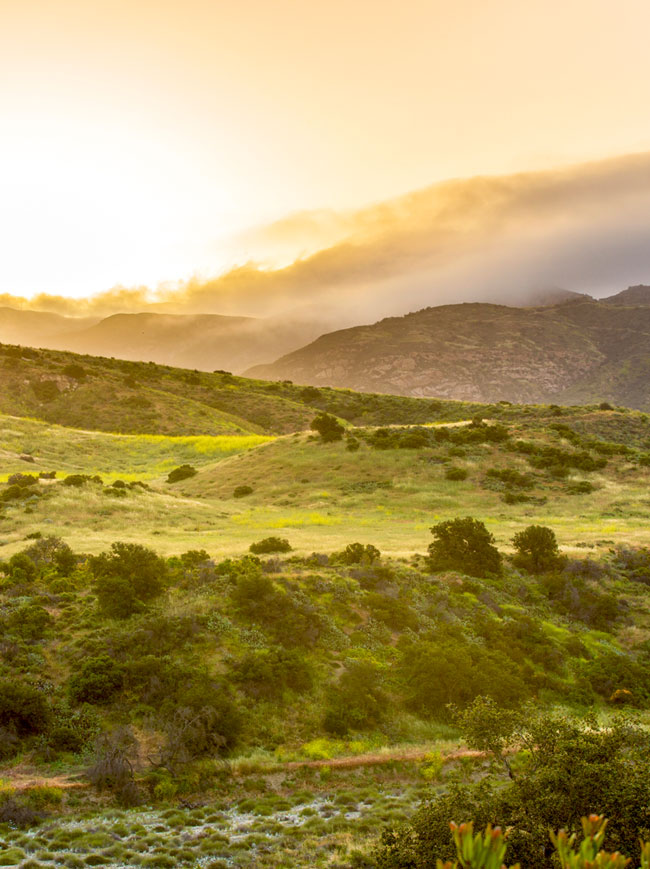 Upper Chiquita Canyon